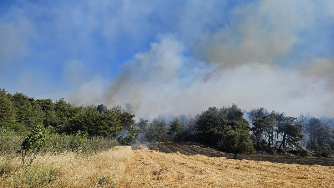 Çanakkale'deki Tarihi Alan'ın güney hattı ziyarete açıldı! Orman yangınında kapatılmıştı - Resim: 28